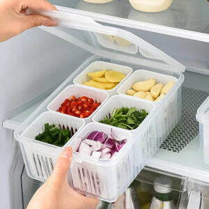 6 Grid Fridge Food Storage Organizer | Preserving Freshness of Cut Veggies and Fruits